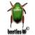 beetles's Avatar